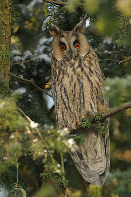 BUITEN BEELD Foto: 46866