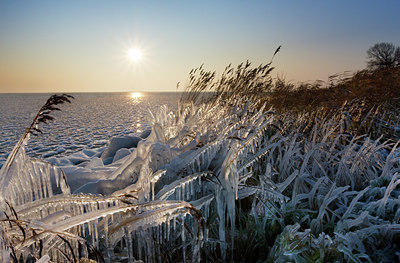 BUITEN BEELD Foto: 46922