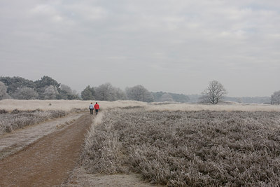 BUITEN BEELD Foto: 46943