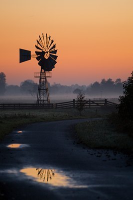 BUITEN BEELD Foto: 46949