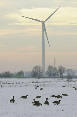 BUITEN BEELD Foto: 46973