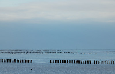 BUITEN BEELD Foto: 46984