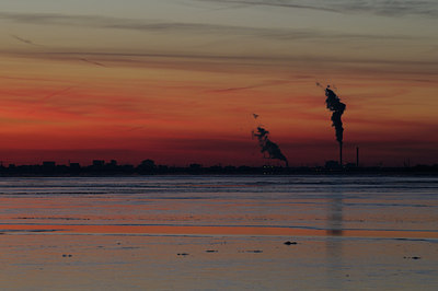 BUITEN BEELD Foto: 47005