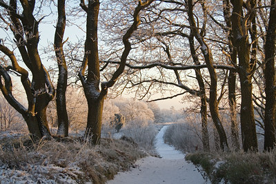 BUITEN BEELD Foto: 47009