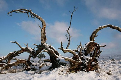 BUITEN BEELD Foto: 47034