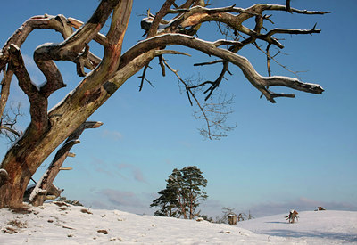 BUITEN BEELD Foto: 47038