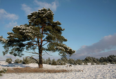 BUITEN BEELD Foto: 47042