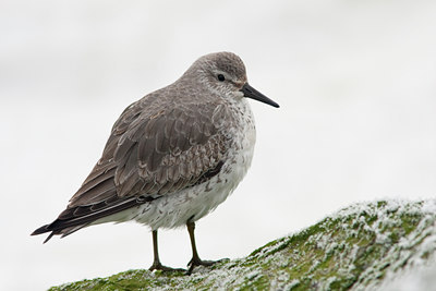 BUITEN BEELD Foto: 47044