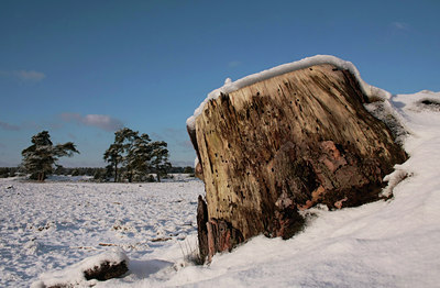 BUITEN BEELD Foto: 47045