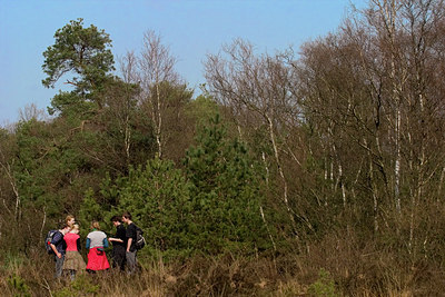 BUITEN BEELD Foto: 47070