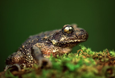 BUITEN BEELD Foto: 47143