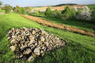 BUITEN BEELD Foto: 47153