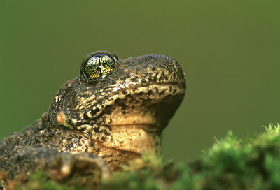 BUITEN BEELD Foto: 47171