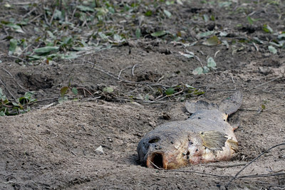 BUITEN BEELD Foto: 47205