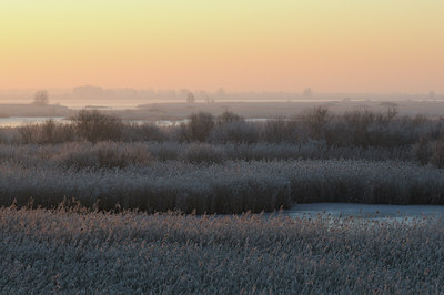 BUITEN BEELD Foto: 47244
