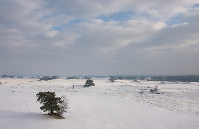 BUITEN BEELD Foto: 47294