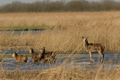 BUITEN BEELD Foto: 47296