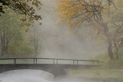 BUITEN BEELD Foto: 47310