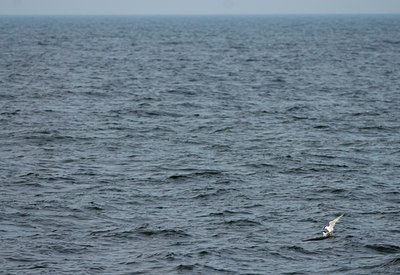 BUITEN BEELD Foto: 47327