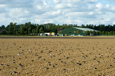 BUITEN BEELD Foto: 47333