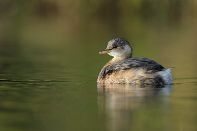 BUITEN BEELD Foto: 47364