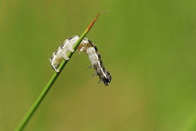 BUITEN BEELD Foto: 47377