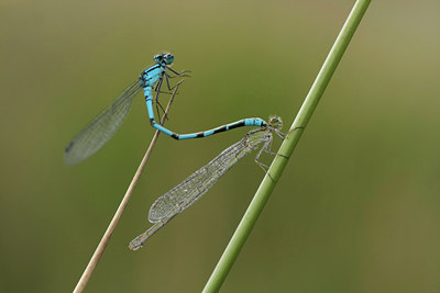 BUITEN BEELD Foto: 47379