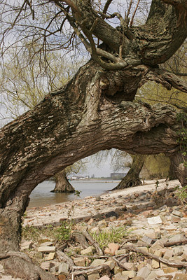 BUITEN BEELD Foto: 47423