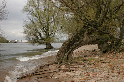 BUITEN BEELD Foto: 47425
