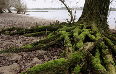 BUITEN BEELD Foto: 47426