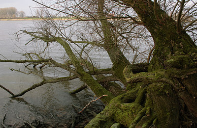 BUITEN BEELD Foto: 47430