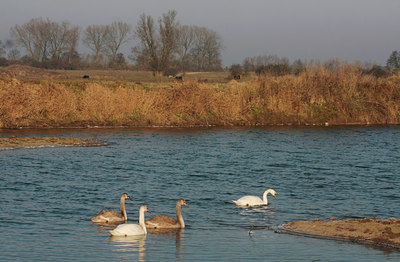 BUITEN BEELD Foto: 47443
