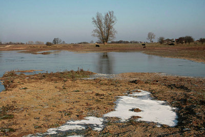 BUITEN BEELD Foto: 47444