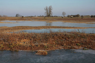 BUITEN BEELD Foto: 47449