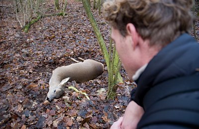 BUITEN BEELD Foto: 47474