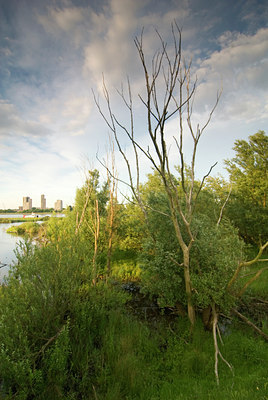 BUITEN BEELD Foto: 47480