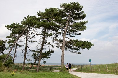 BUITEN BEELD Foto: 47503