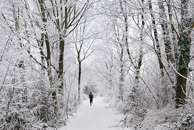 BUITEN BEELD Foto: 47532