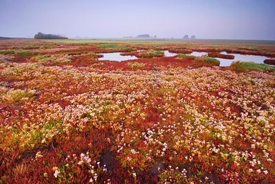 BUITEN BEELD Foto: 47649