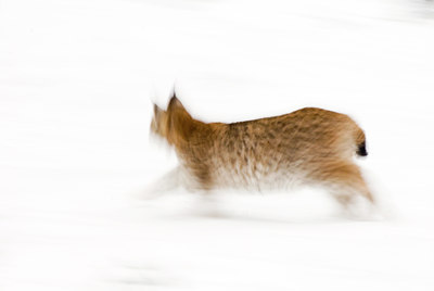 BUITEN BEELD Foto: 47660