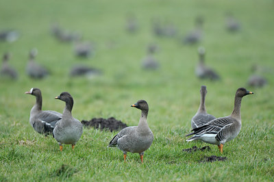 BUITEN BEELD Foto: 47671