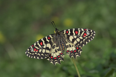 BUITEN BEELD Foto: 47678