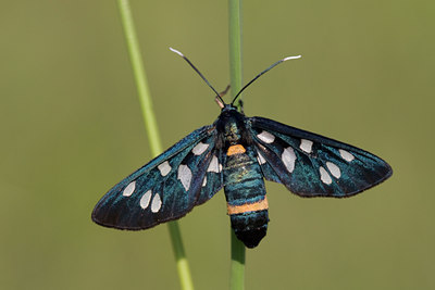 BUITEN BEELD Foto: 47690