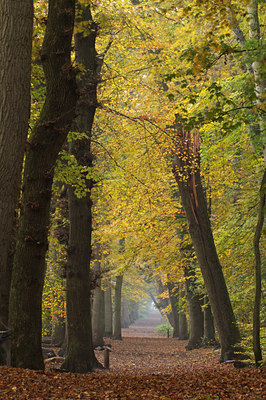BUITEN BEELD Foto: 47728