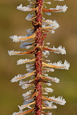 BUITEN BEELD Foto: 47785