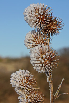 BUITEN BEELD Foto: 47787