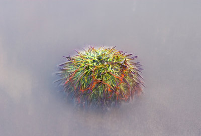 BUITEN BEELD Foto: 47800