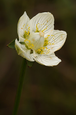 BUITEN BEELD Foto: 47816