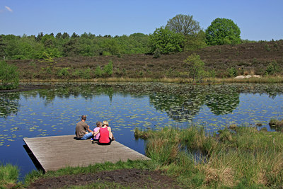 BUITEN BEELD Foto: 47837