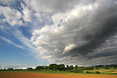 BUITEN BEELD Foto: 47866